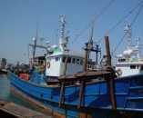 선박선종별 기술정보 _ 근해 안강망