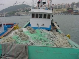 선박선종별 기술정보 _ 근해자망