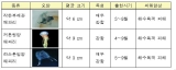 해파리 피해방지 대책 강화한다