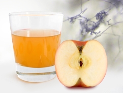 무균정 곰팡이연구소, ‘곰팡이’와 관련된 잘못된 정보 소개