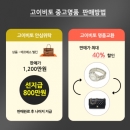 고이비토 “실속쇼핑 중고명품, 아는것이 힘이다”
