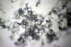 곰팡이연구소, 집안 곰팡이가 미치는 영향과 관리법 제시