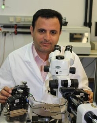 다강성 폴리머 메모리