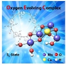 자연에 의해서 생성되는 태양 연료