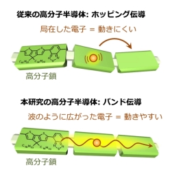 고분자 반도체에서 밴드 전도 실현
