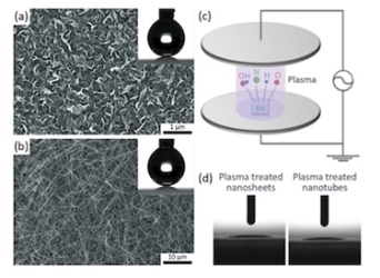 붕소 질화물 표면을 개질할 수 있는 플라즈마 처리 기술