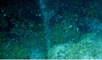 해저에 살고 있는 메탄을 먹는 미생물