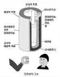 건전지의 구조