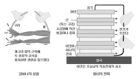 개구리 다리에서 전지가 생겼다?