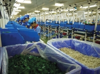 파나소닉, 베트남에 새로운 배선기기 및 차단기 공장 풀가동 시작