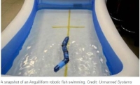 뱀장어에서 배우는 자율 수중 로봇의 미래