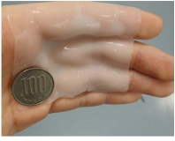 몸에 직접 붙이는 생체정보 센서 개발 성공