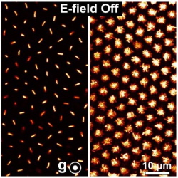 새로운 재료를 제조할 수 있게 하는 플라스틱 결정