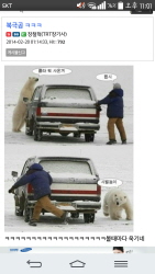 북극곰..ㅋㅋㅋ