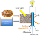 바이오매스로부터 직접 전기를 생산하는 하이브리드 연료전지