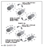 [해외기술동향] 원료의 적정관리에 의한 성형불량의 저감(下)