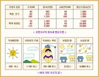 광도와 조도