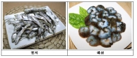 해수부, 3월 어식백세 수산물 '멸치, 해삼' 선정