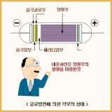 적색만이 네온사인