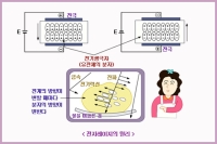 전자렌지의 원리