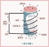 자기조리기의 비밀