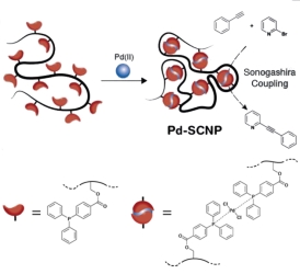단일-사슬 나노입자