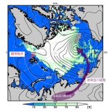 북극역의 관측에서 맹렬한 북극 저기압 예측