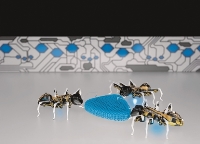 협업 개미로봇이 보여주는 미래의 공장