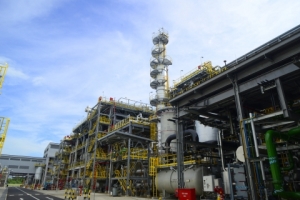 랑세스, 아시아지역 합성고무 비즈니스 강화