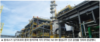 랑세스, 아시아지역 합성고무 비즈니스 강화