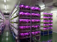 3원색 LED를 독립 제어하는 식물공장