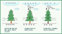 천둥과 번개도 전기의 한 현상