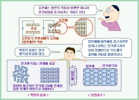 콘덴서의 구조