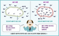 전기를 만드는 물고기