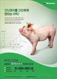 갓난돼지를 건강하게 만드는 과학 - 카길뉴트리나 갓난돼지 프로그램