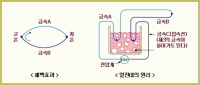 제벡 효과나 페르티에 효과의 이용