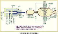 실용화되고 있는 플라스마