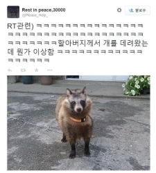 개구리