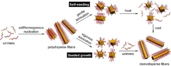 초분자성 고분자의 구조 및 계면 특성 제어(上)