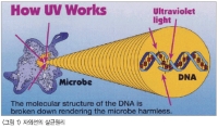 (주)엔퓨텍 거점소독기의 특징(2)