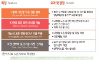 <윈맥스30 모돈사료의 특장점>