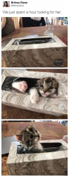 귀여움 폭발