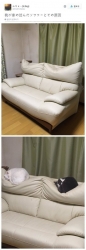 쇼파모양이 이상한 이유