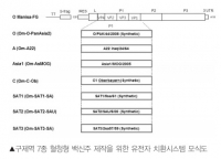 한국형 구제역 백신주 개발 시스템 구축