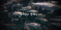 명태살리기 바이럴 영상