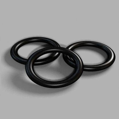 O-Ring