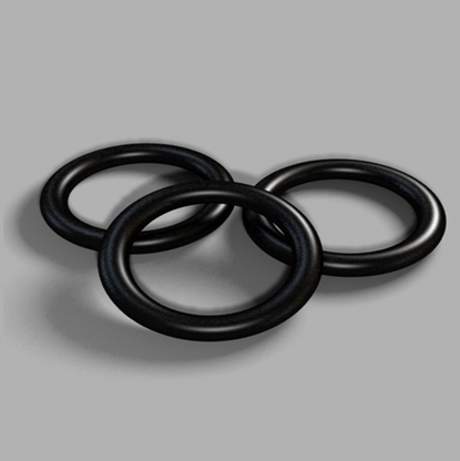 O-Ring