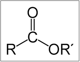 후육 투명 화장품 용기 사출성형 최적화를 위한 전동 사출성형기 제안