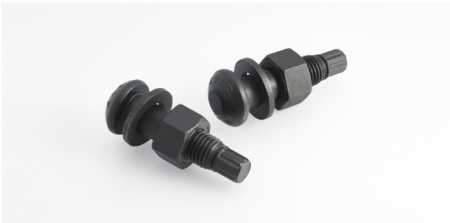 TS bolt (Torque Shear Bolt)