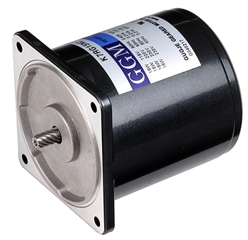 Reversible Motor